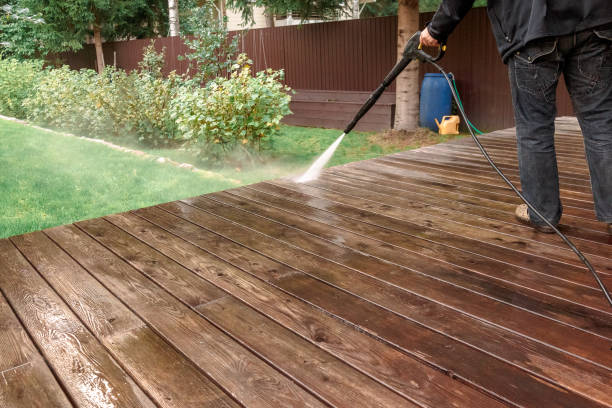 Best Roof Cleaning and Mildew Removal in Tornillo, TX