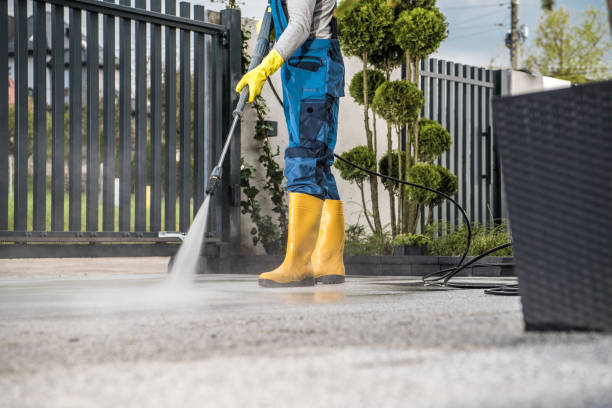 Best Concrete Surface Cleaning in Tornillo, TX